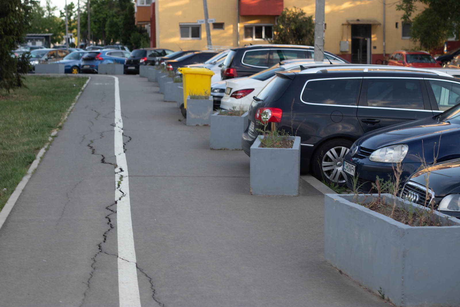 jardiniere flori uscate praf soarelui 19