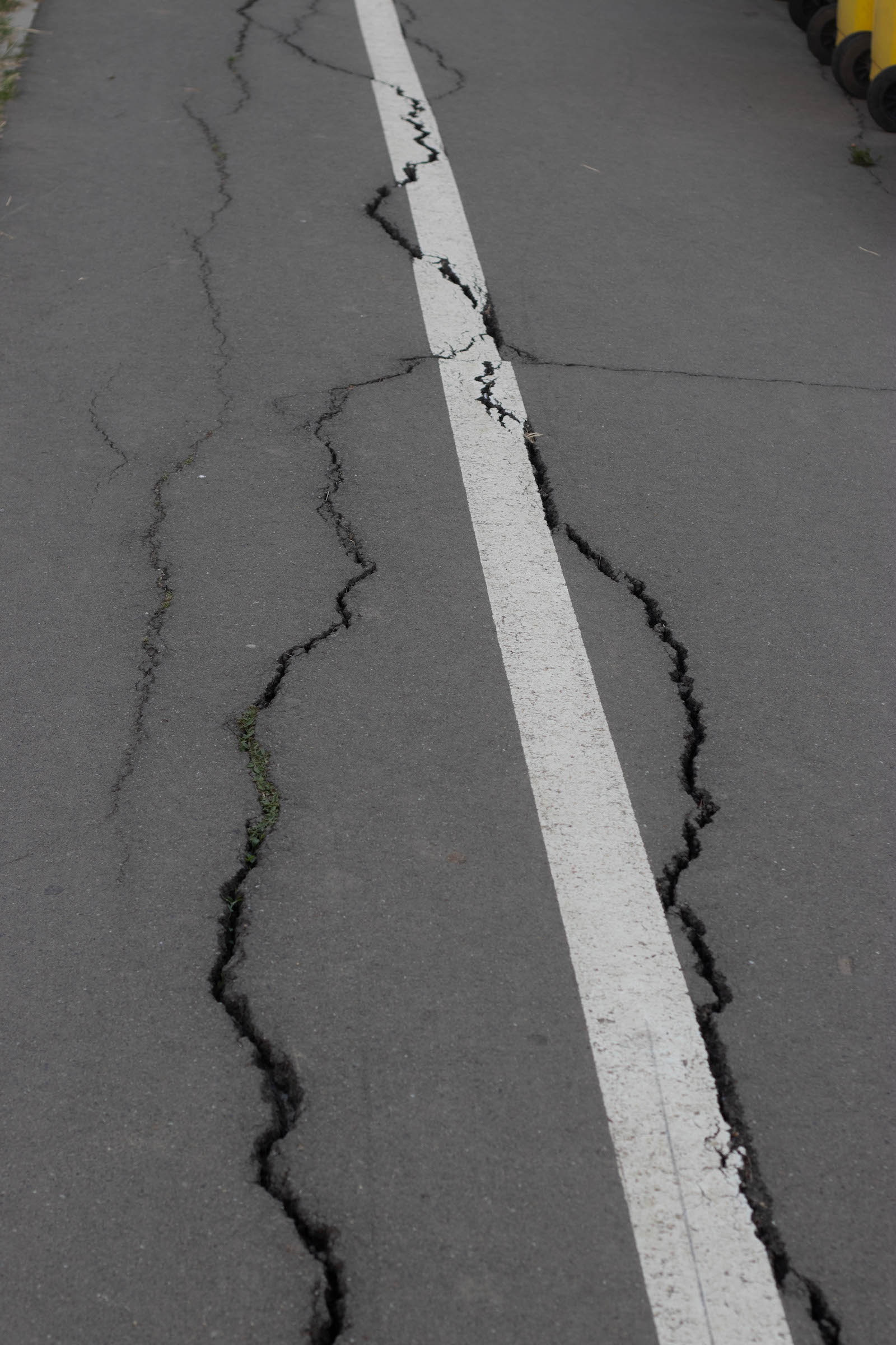 jardiniere flori uscate praf soarelui 20