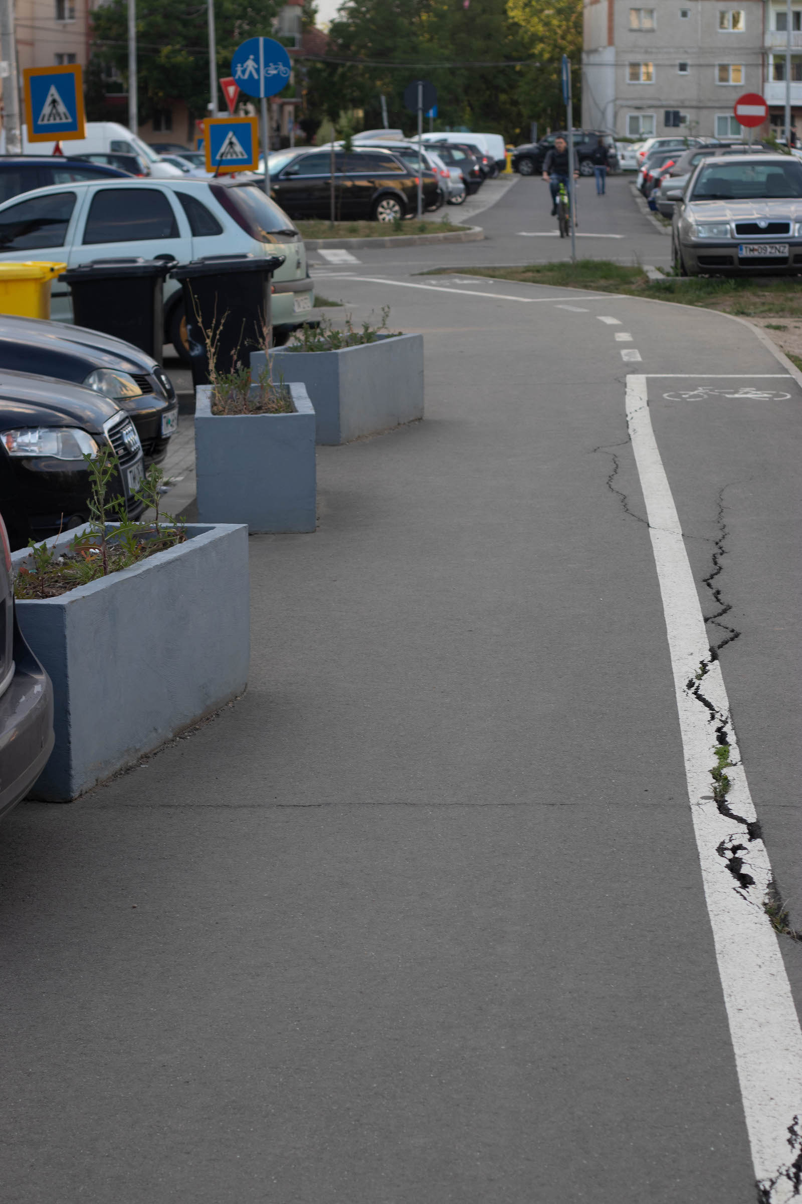 jardiniere flori uscate praf soarelui 21