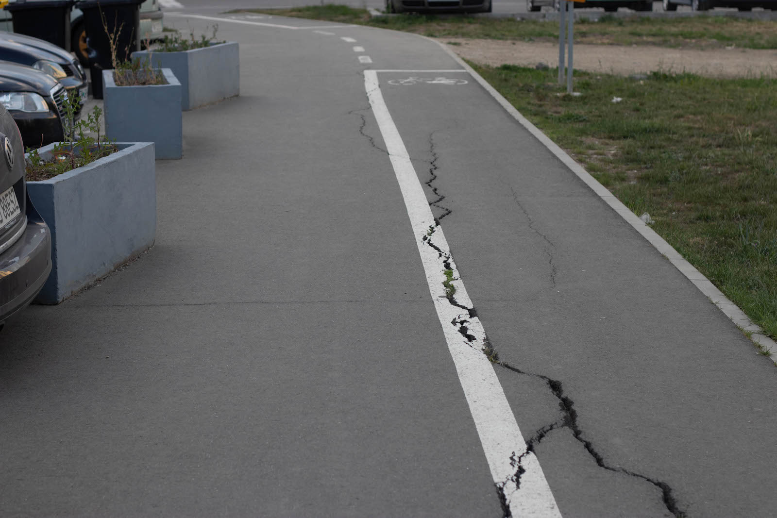 jardiniere flori uscate praf soarelui 22