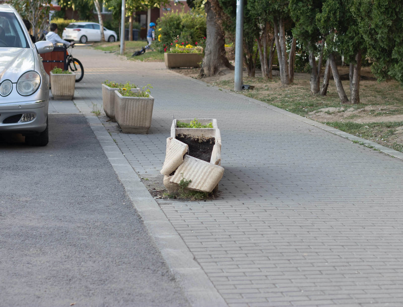 jardiniere flori uscate praf soarelui 7