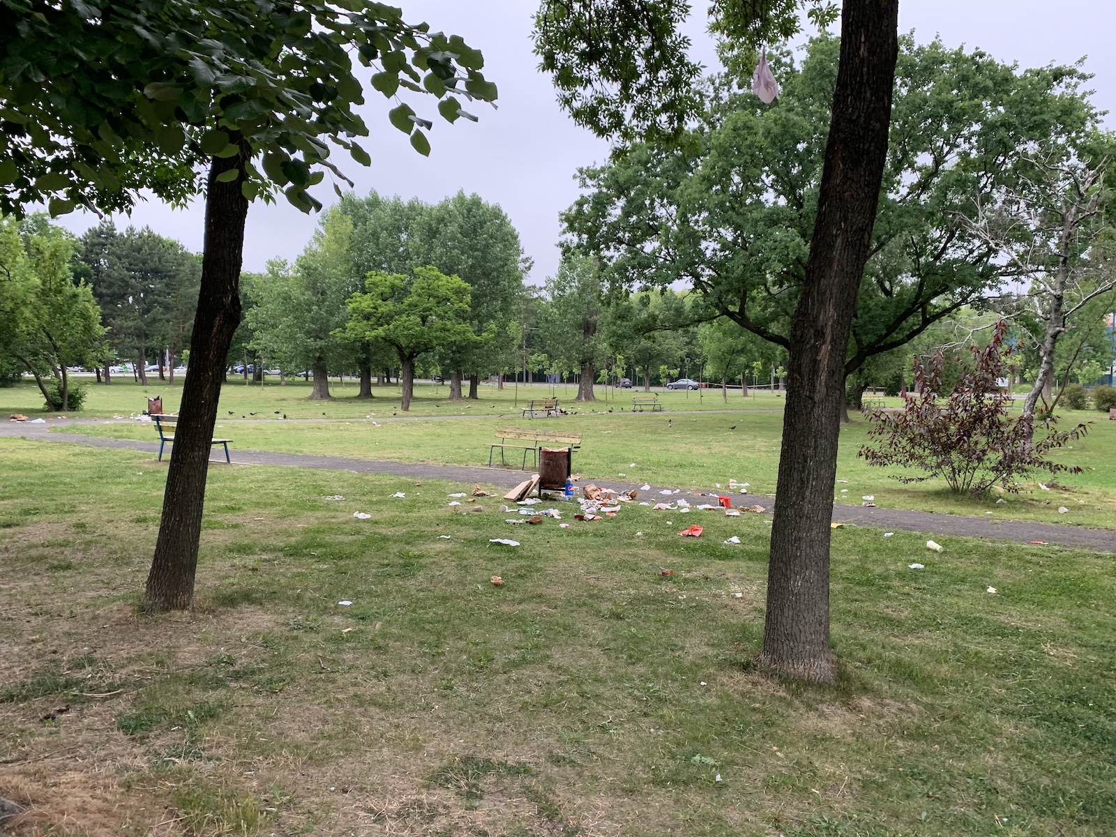 mizerie langa stadion piata volanta foto seba tataru 17