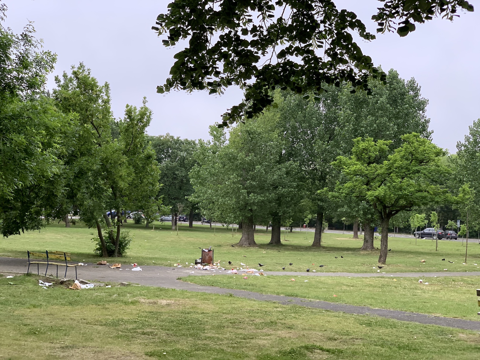 mizerie langa stadion piata volanta foto seba tataru 19