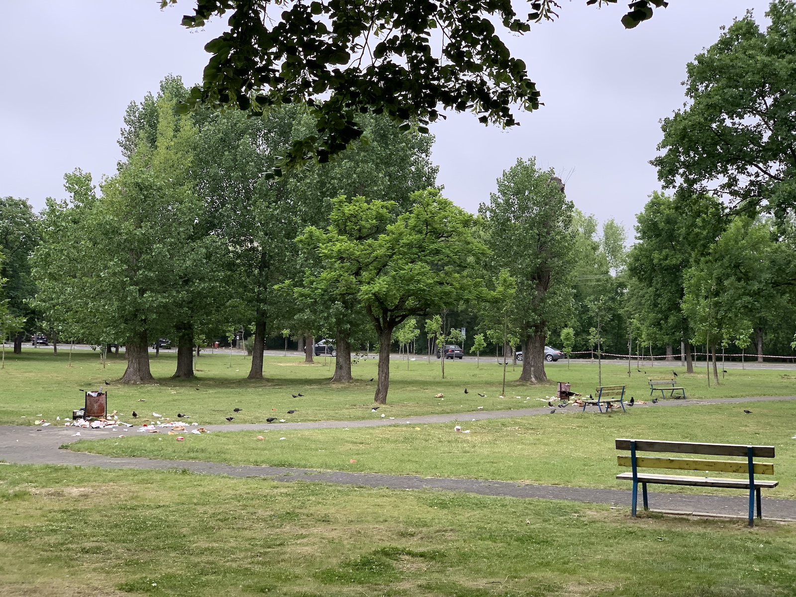 mizerie langa stadion piata volanta foto seba tataru 20