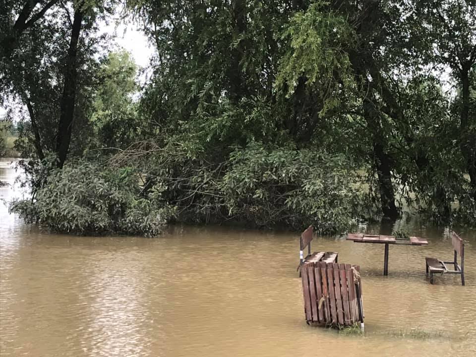 mobilier urban Ecvo TImis foto Eco Timis (7)