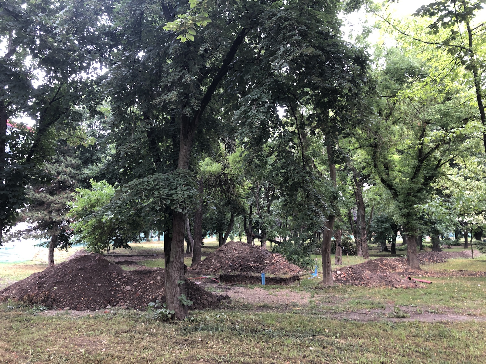 parcul civic 16 iunie 2020 3