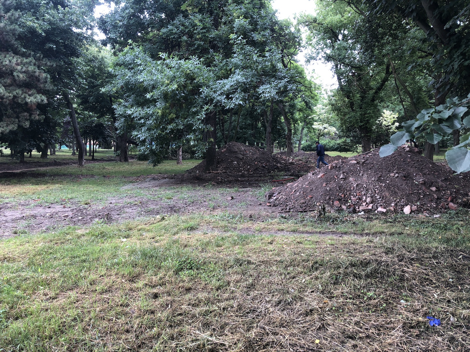 parcul civic 16 iunie 2020 4