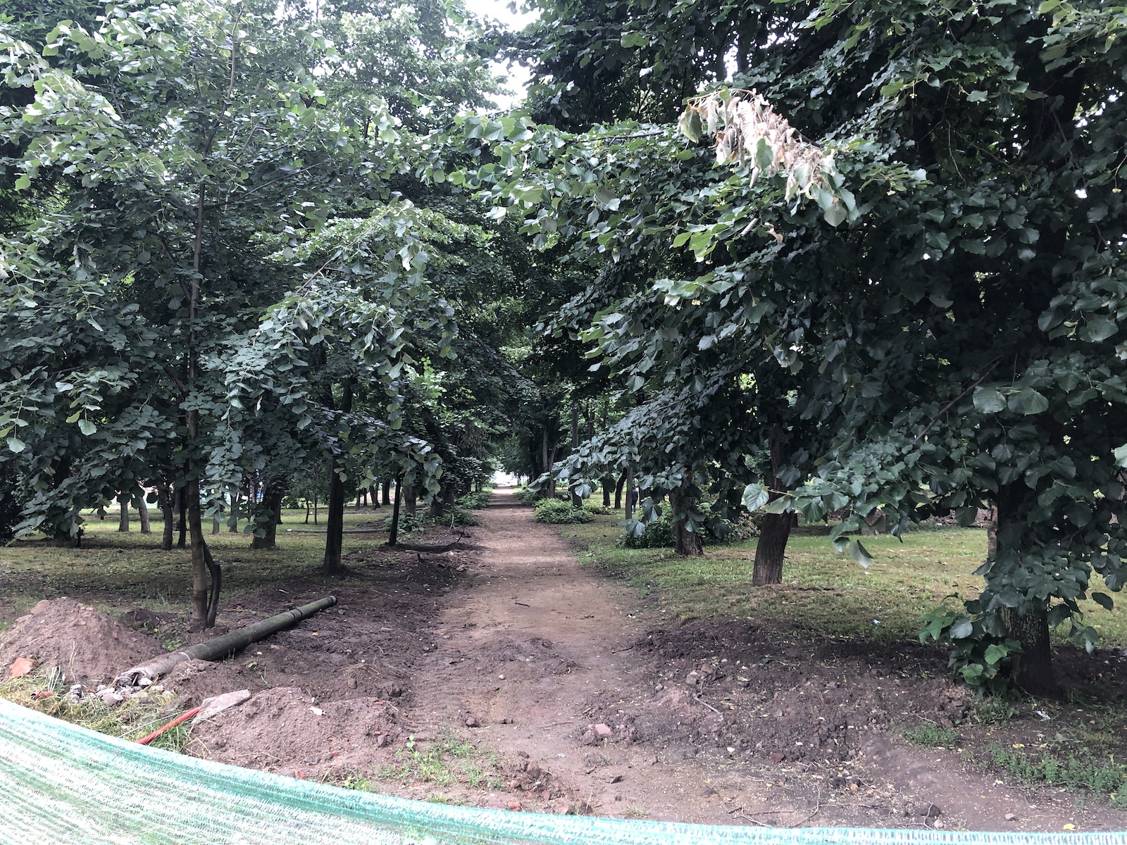 parcul civic 16 iunie 2020 6