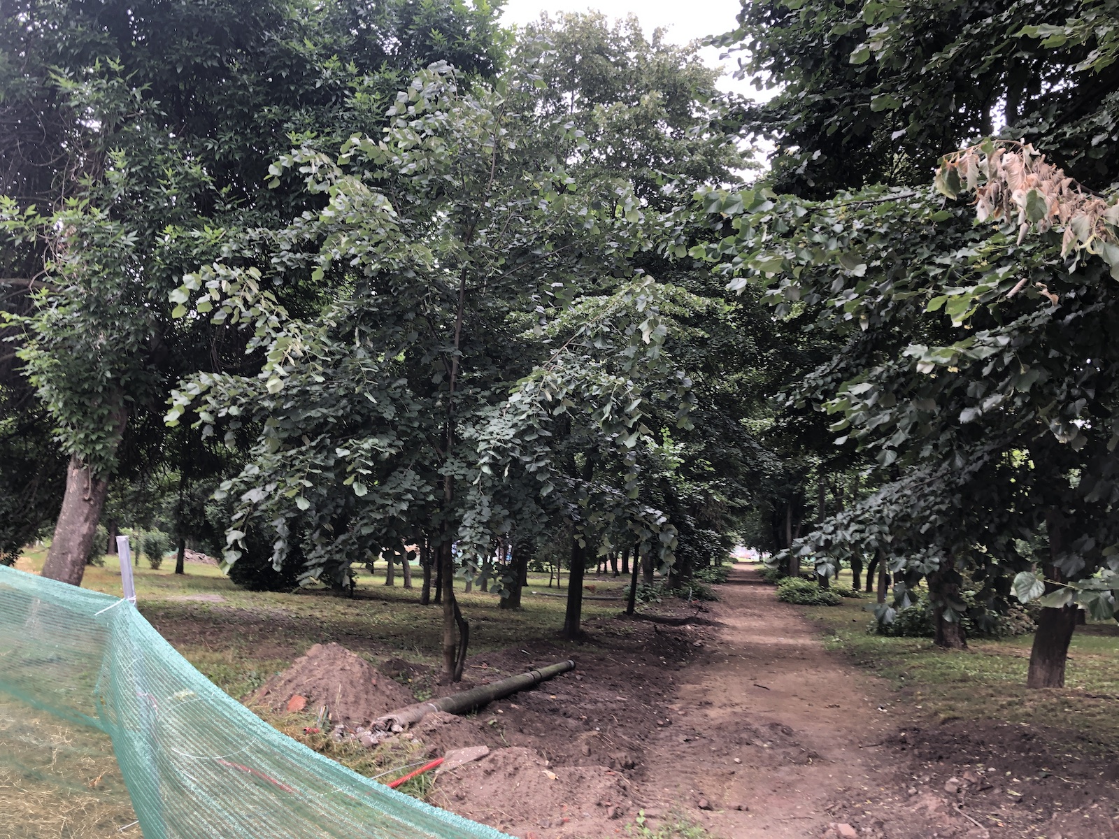 parcul civic 16 iunie 2020 9