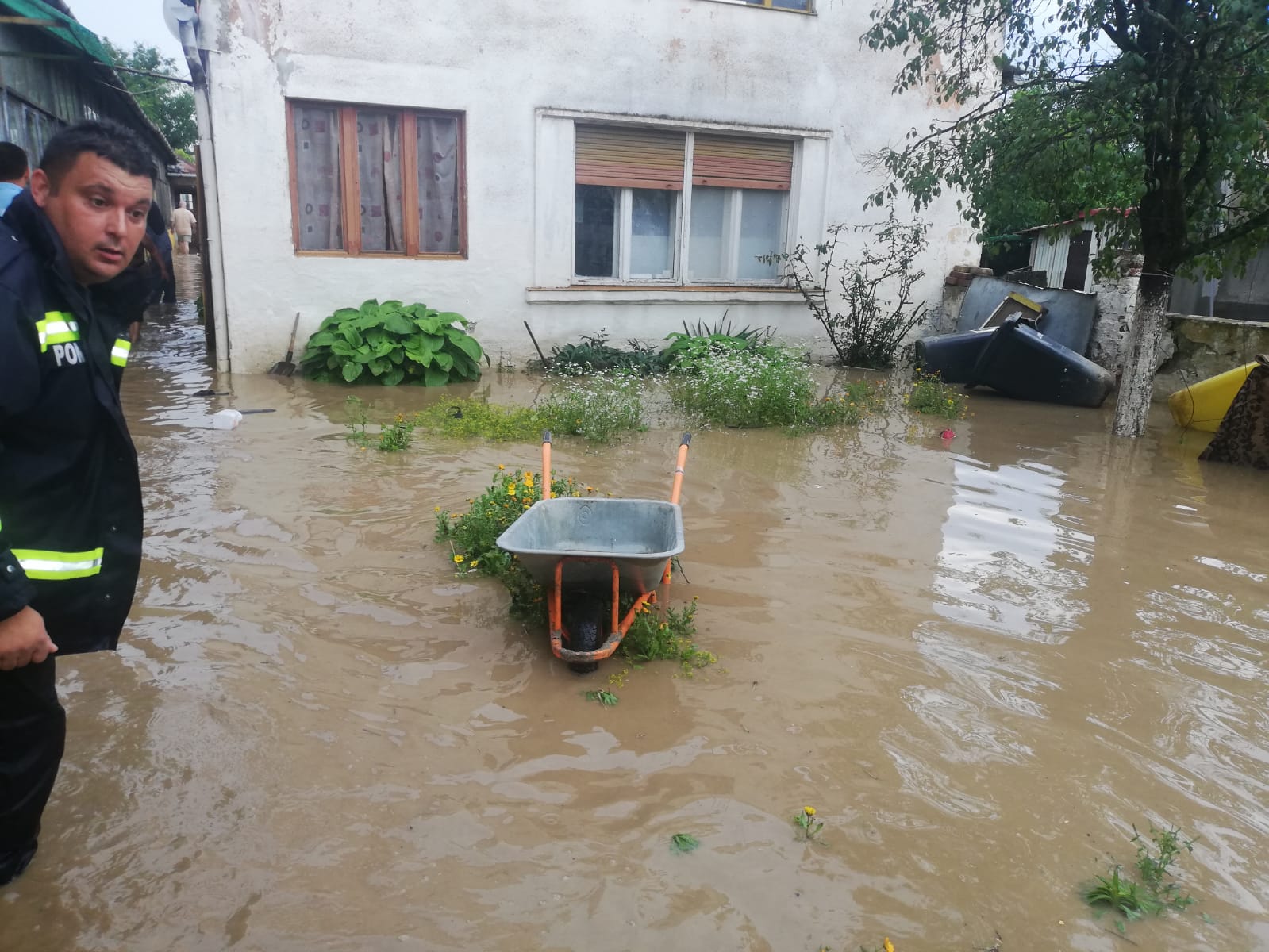 WhatsApp Image 2020-07-03 at 15.22.11