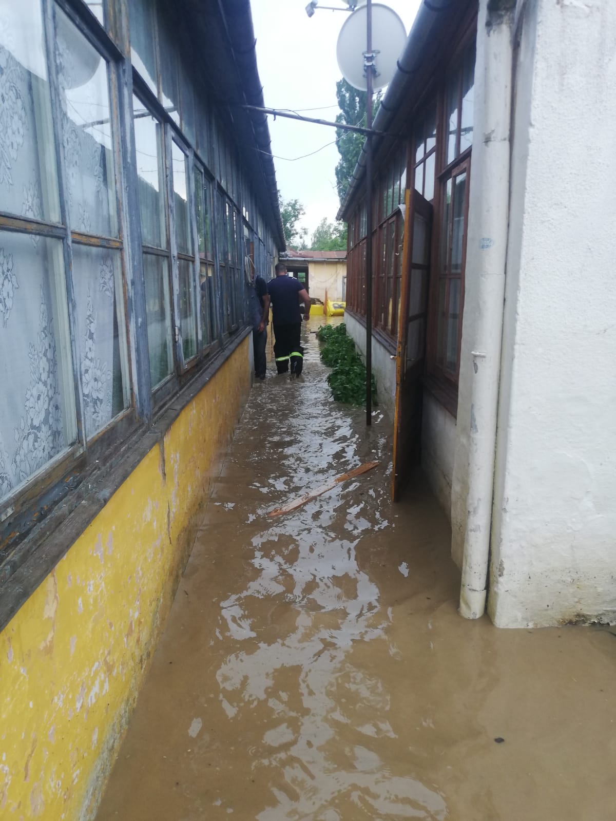 WhatsApp Image 2020-07-03 at 15.22.11(1)