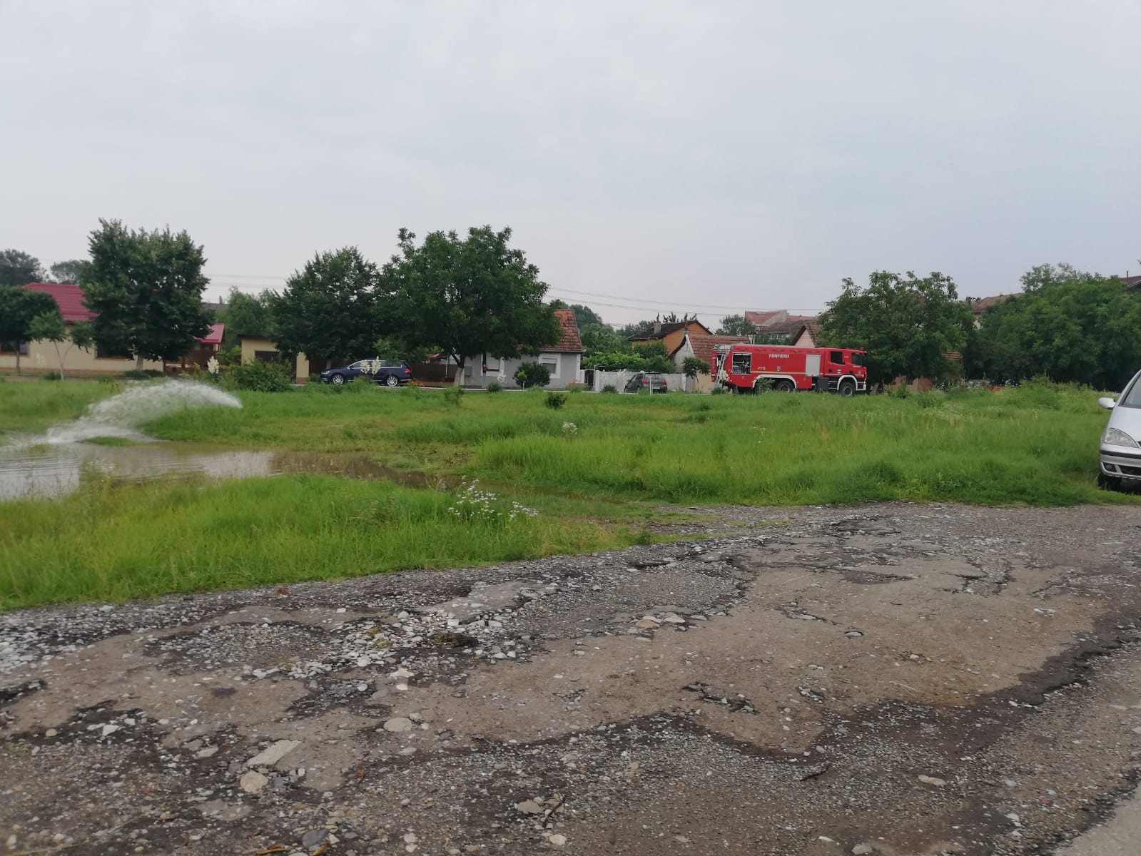 WhatsApp Image 2020-07-03 at 15.22.46(1)