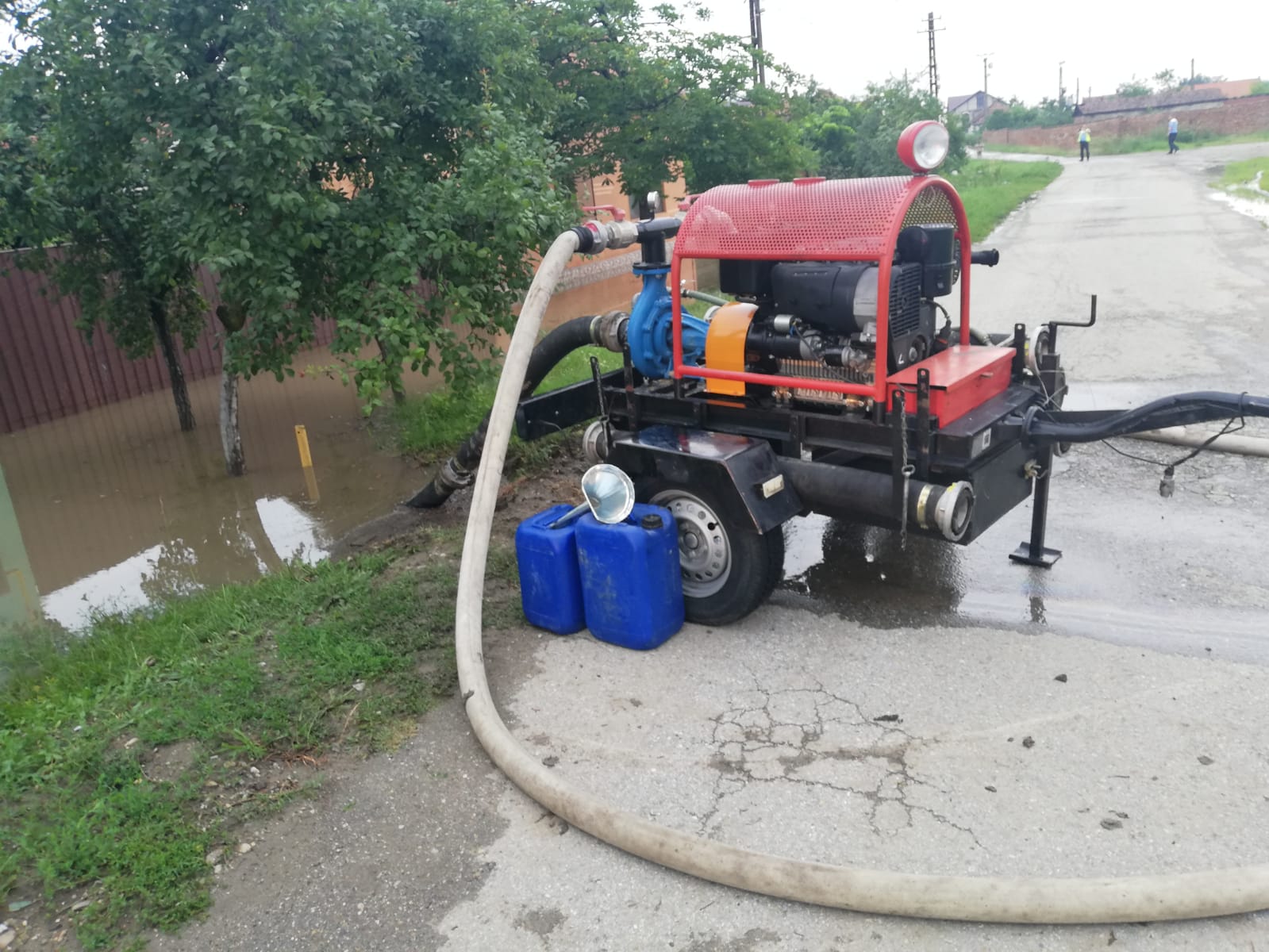 WhatsApp Image 2020-07-03 at 15.22.47