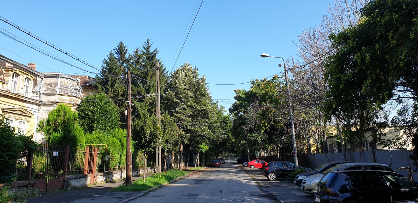 WhatsApp Image 2020-07-27 at 14.54.43