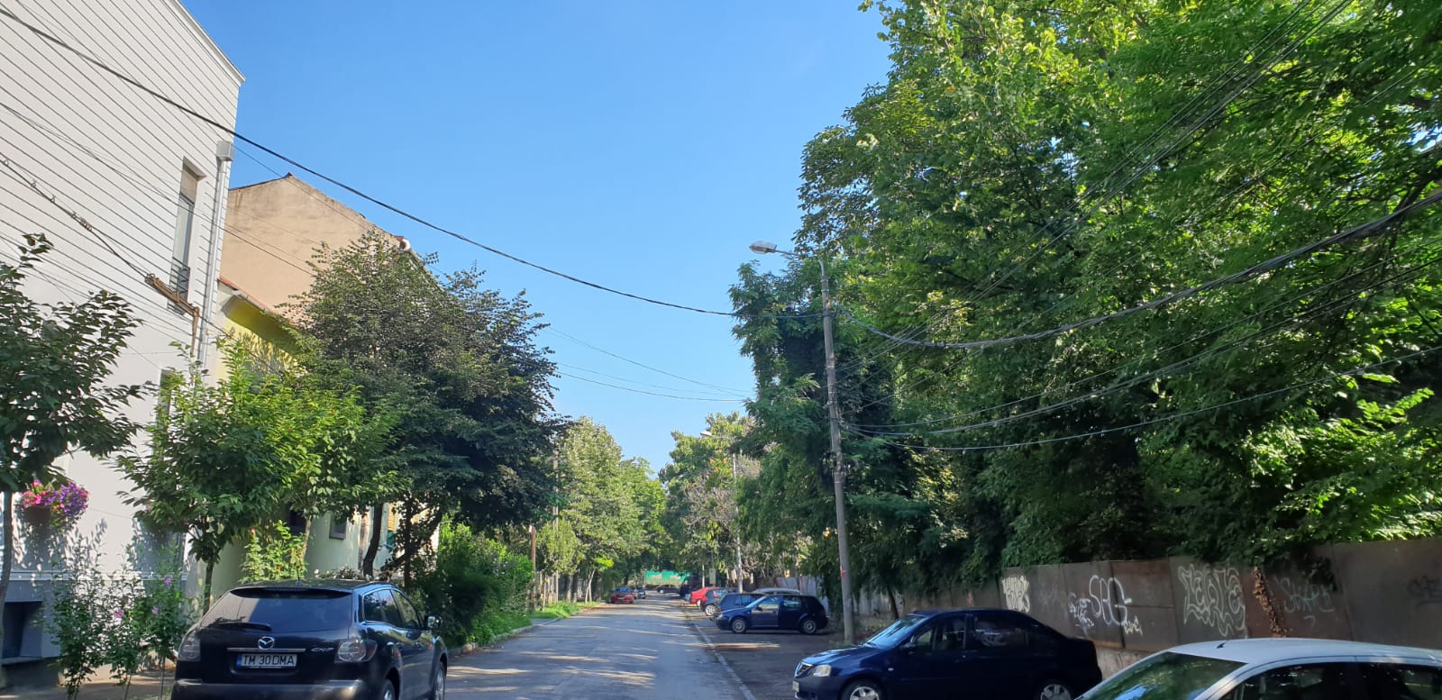 WhatsApp Image 2020-07-27 at 14.54.44 (2)