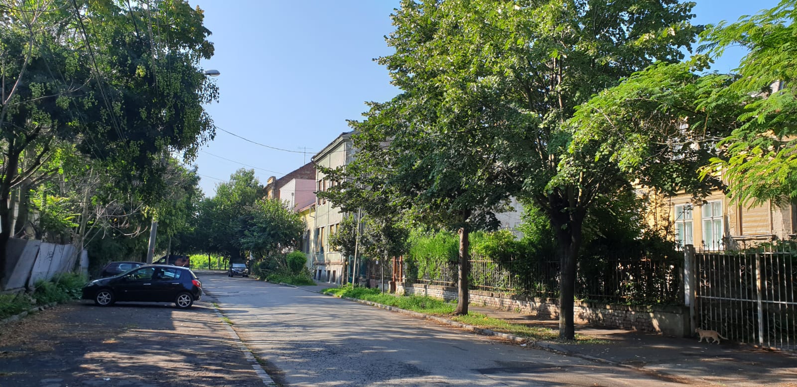 WhatsApp Image 2020-07-27 at 14.54.44 (4)