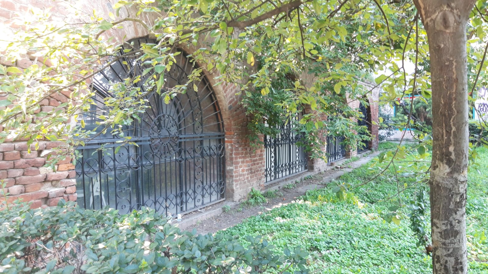 WhatsApp Image 2020-07-28 at 12.24.50