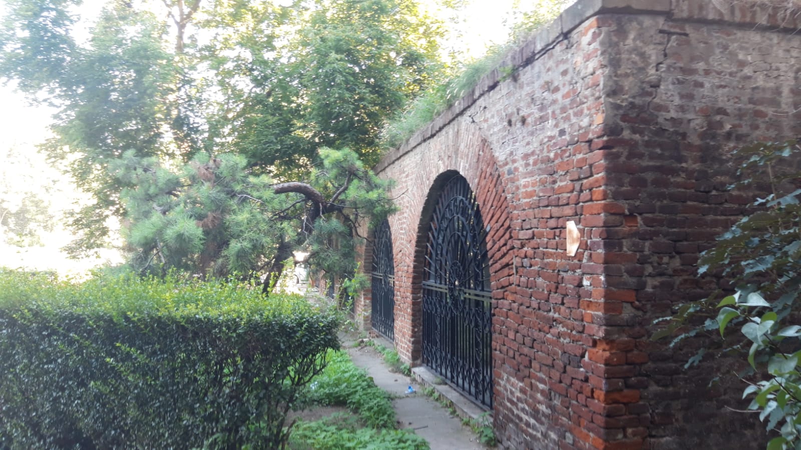 WhatsApp Image 2020-07-28 at 12.24.50 (2)