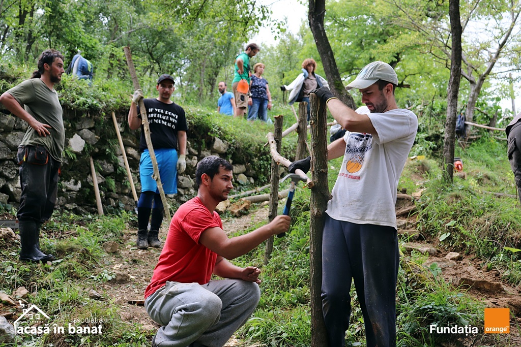 mori de apa Garnic foto Acasa in Banat (13)