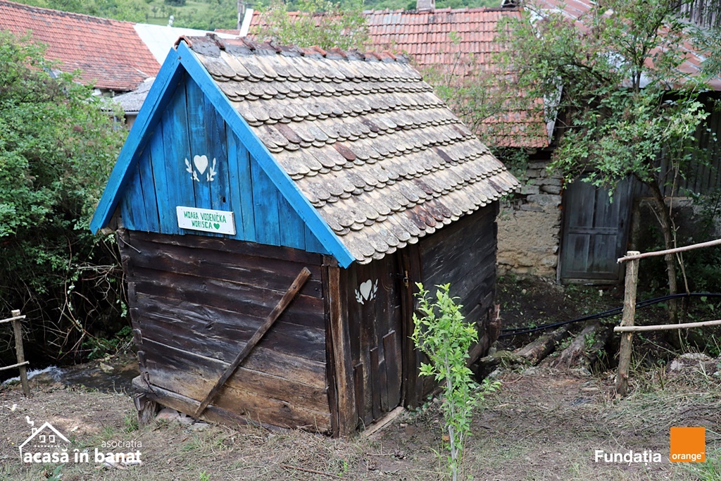 mori de apa Garnic foto Acasa in Banat (14)