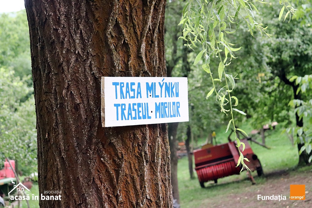 mori de apa Garnic foto Acasa in Banat (16)