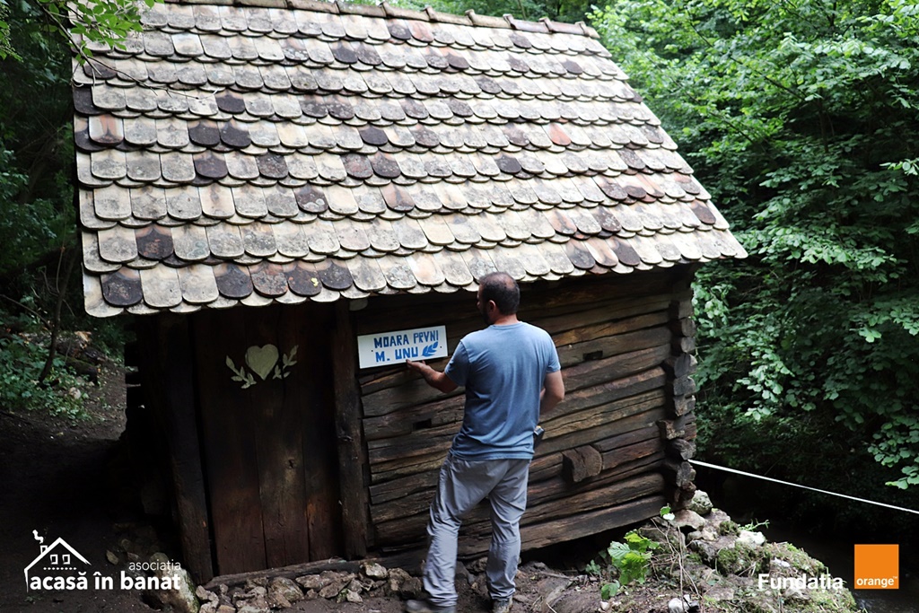 mori de apa Garnic foto Acasa in Banat (17)