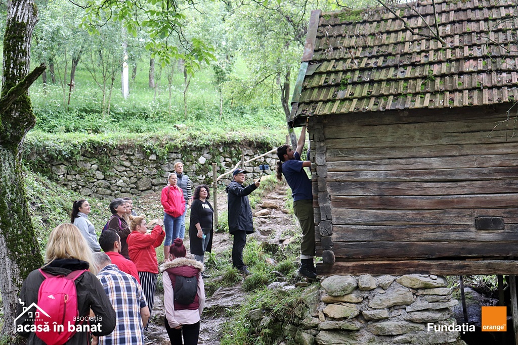mori de apa Garnic foto Acasa in Banat (19)