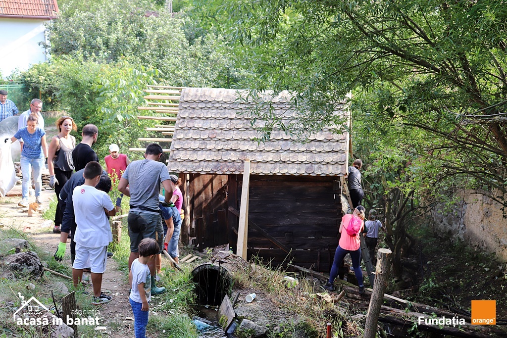 mori de apa Garnic foto Acasa in Banat (2)