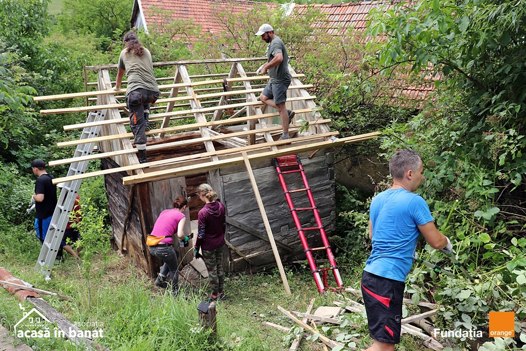 mori de apa Garnic foto Acasa in Banat (20)