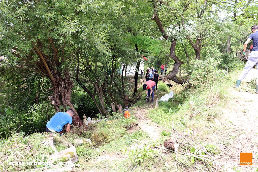 mori de apa Garnic foto Acasa in Banat (21)
