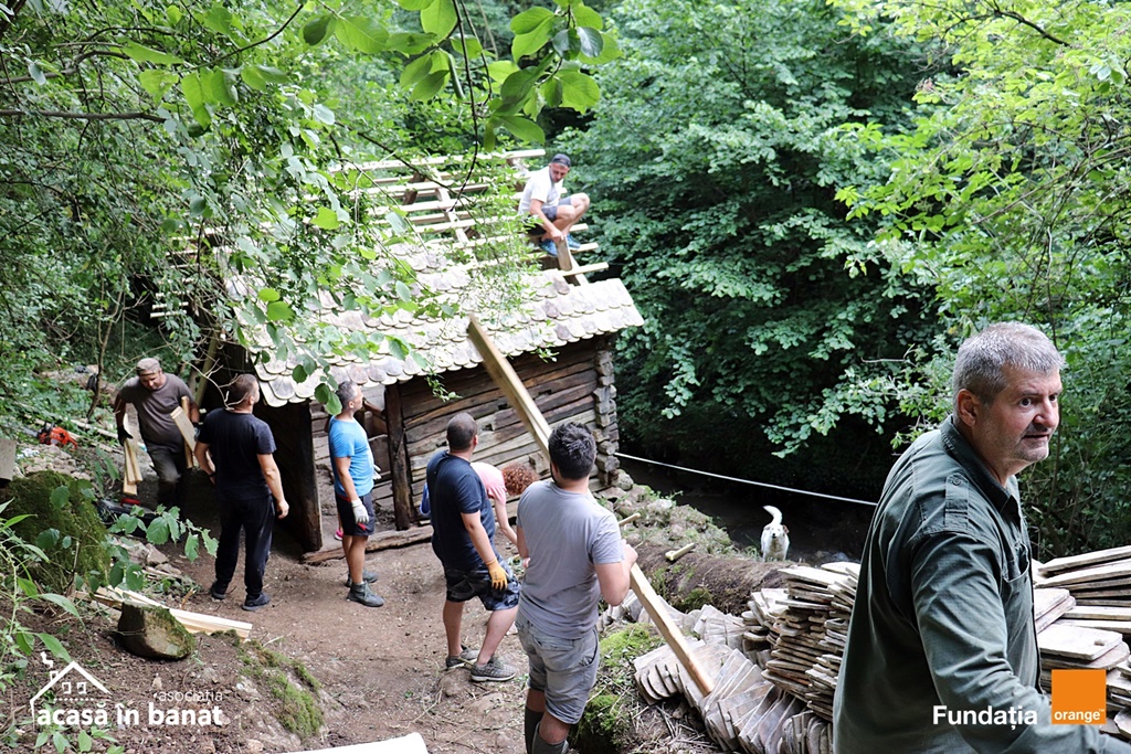 mori de apa Garnic foto Acasa in Banat (4)
