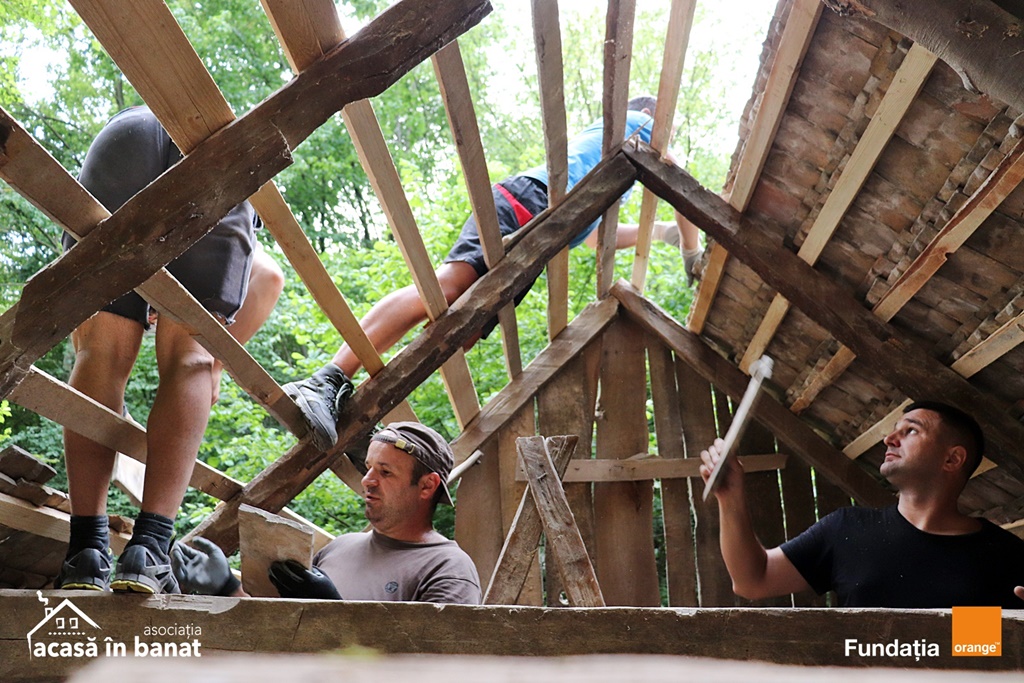 mori de apa Garnic foto Acasa in Banat (5)