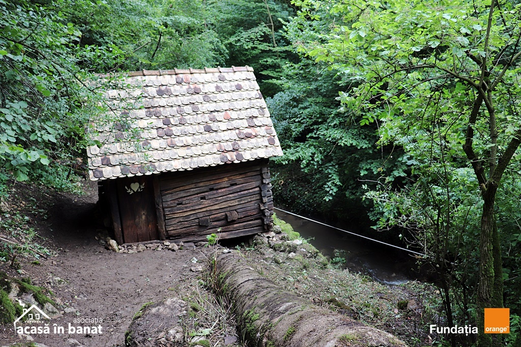 mori de apa Garnic foto Acasa in Banat (8)