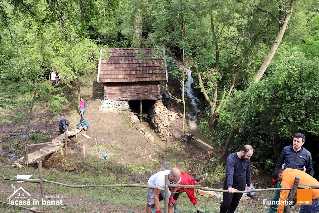 mori de apa Garnic foto Acasa in Banat (9)