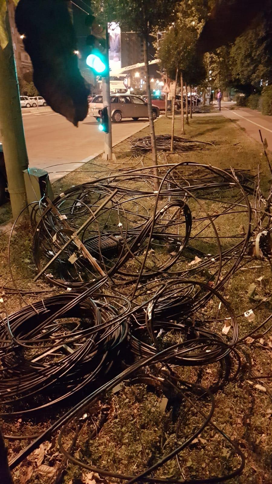 117336724_781109072696167_4563753606321901645_n