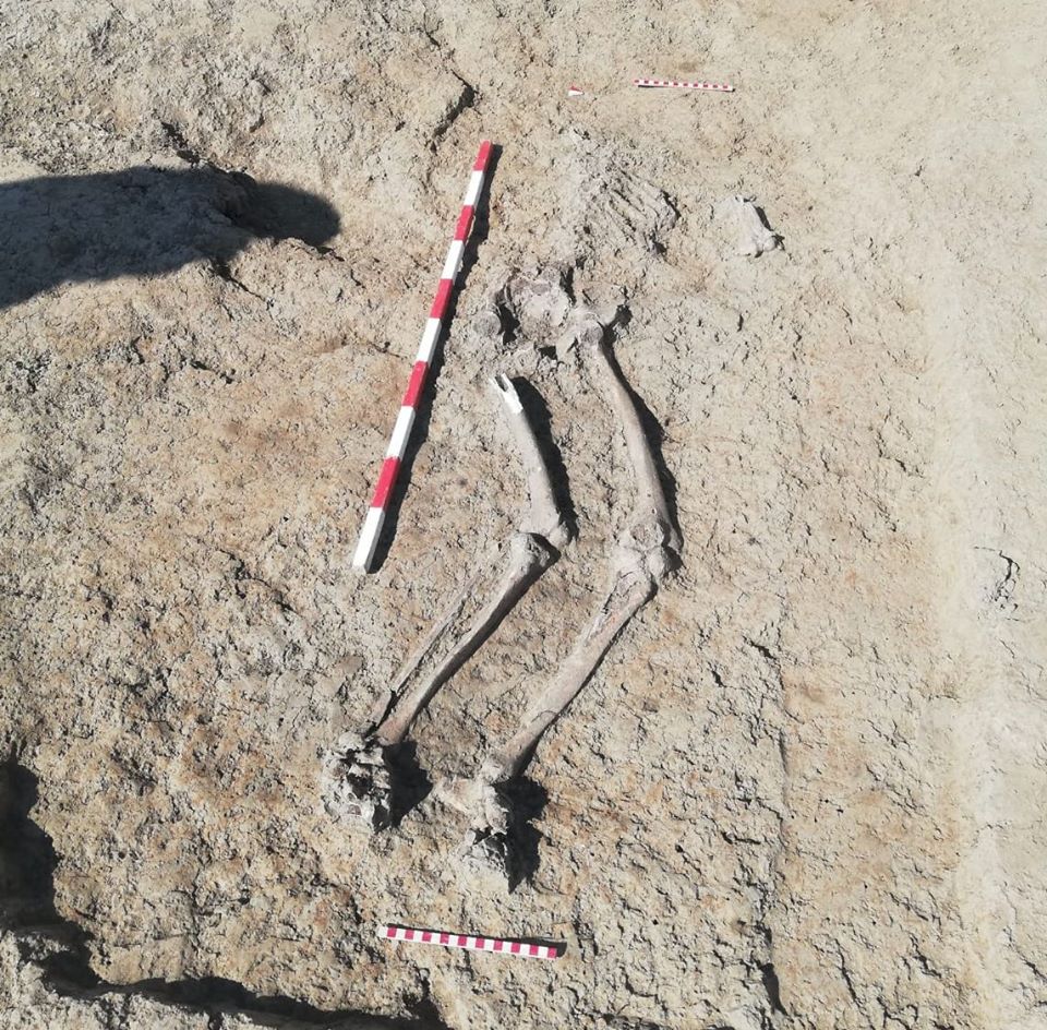 117904945_1168957670133481_8090166993337818466_o - Copy - Copy