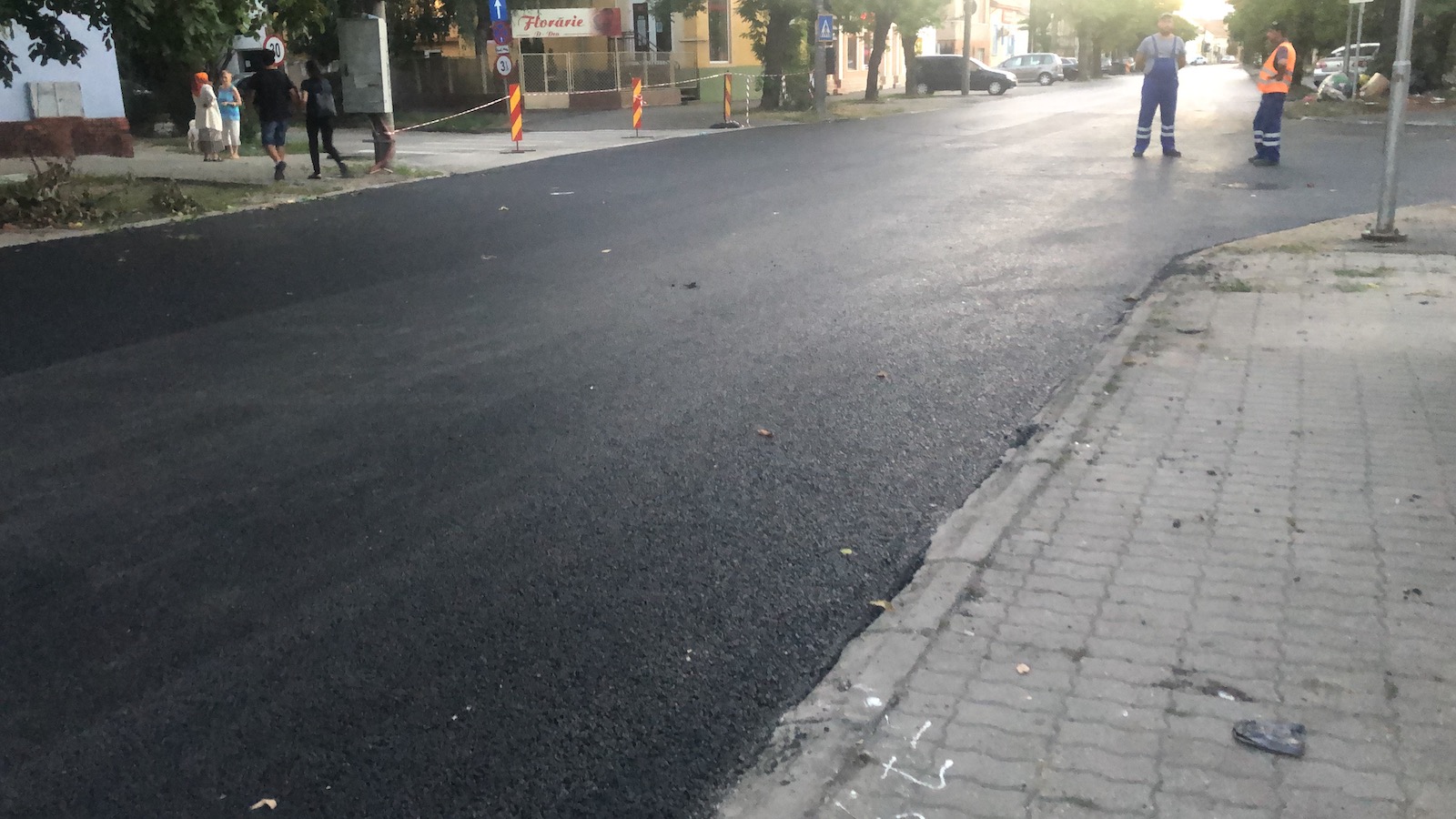 copac bitum material frezat str ciprian porumbescu dorel 1