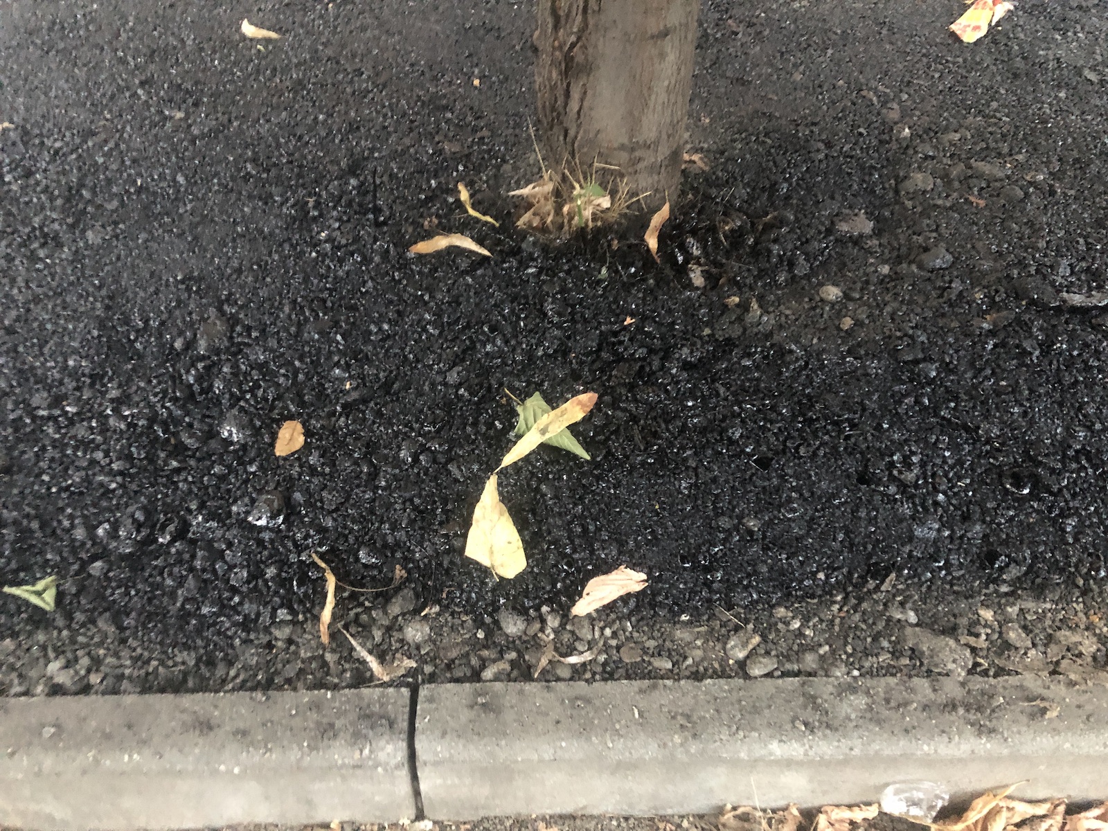 copac bitum material frezat str ciprian porumbescu dorel 10