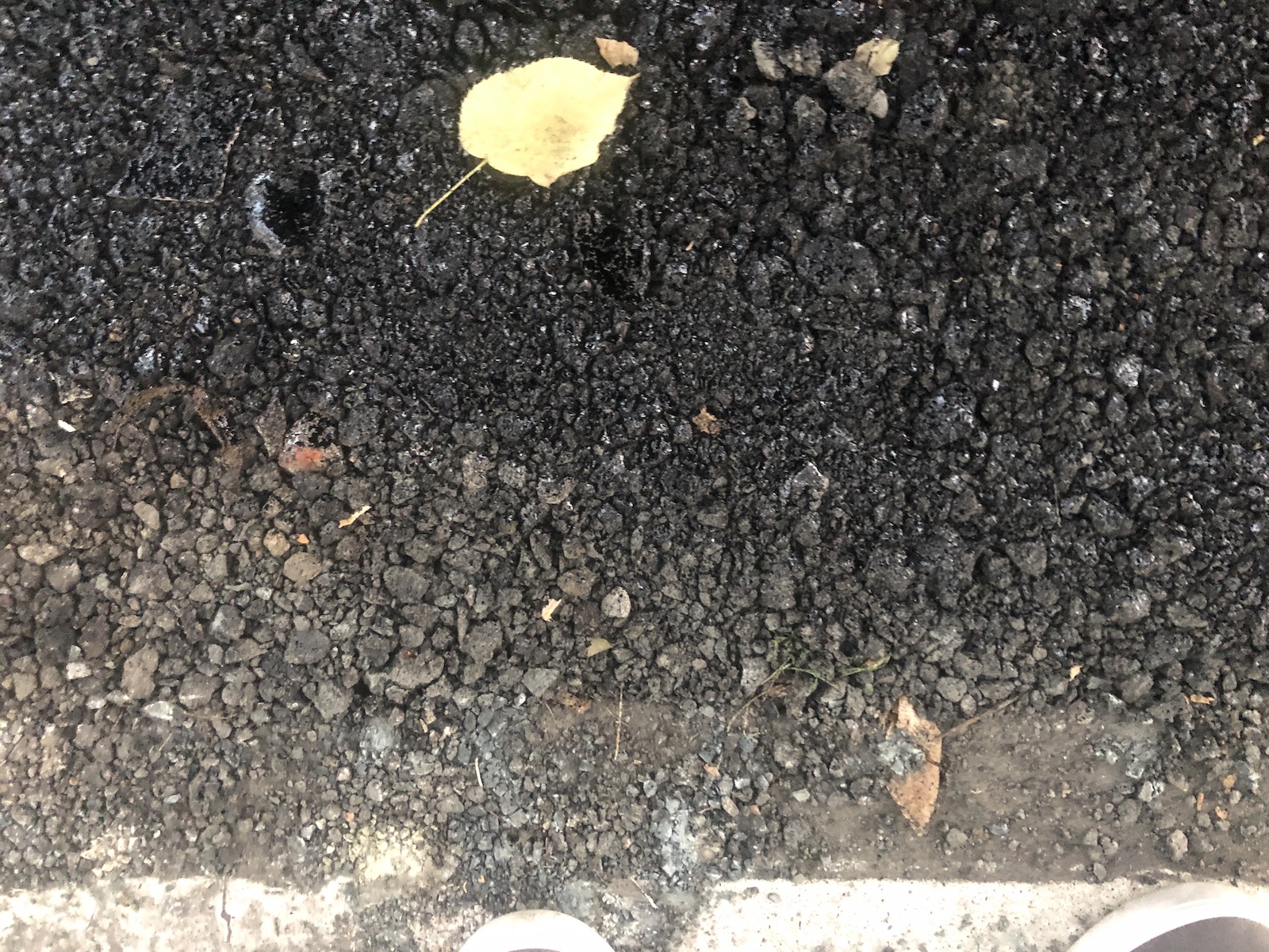 copac bitum material frezat str ciprian porumbescu dorel 11