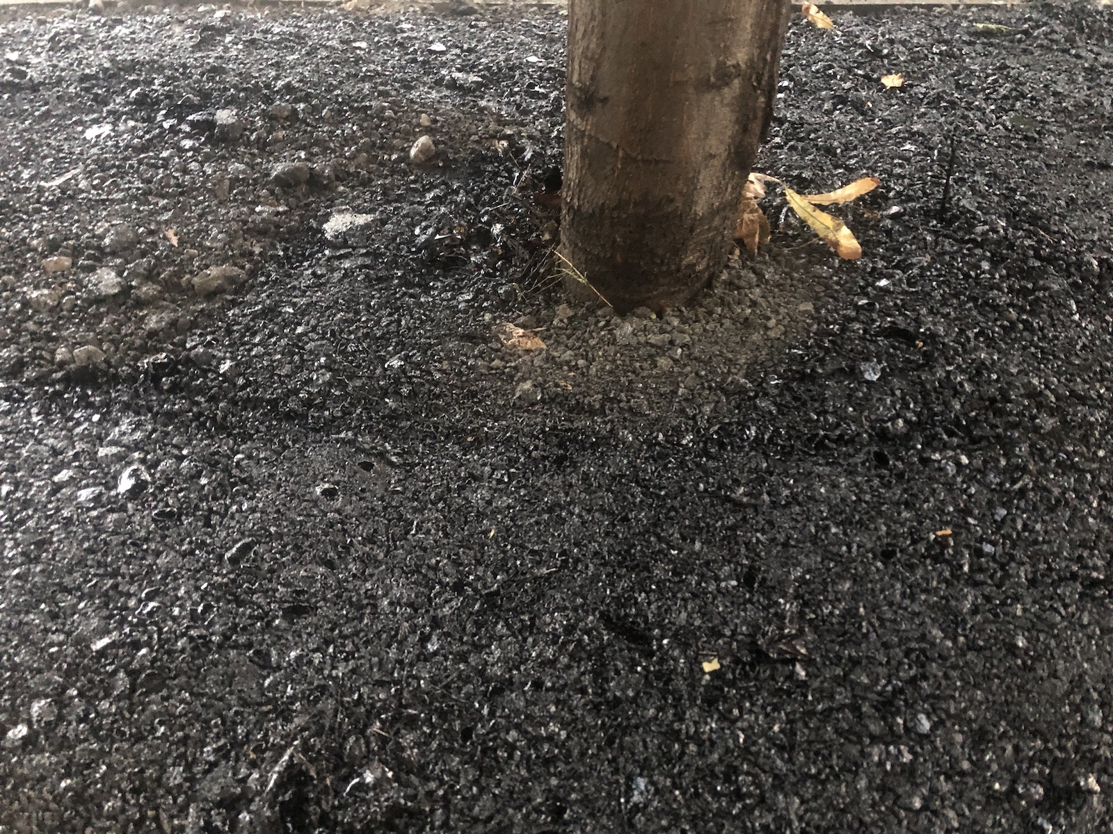 copac bitum material frezat str ciprian porumbescu dorel 13