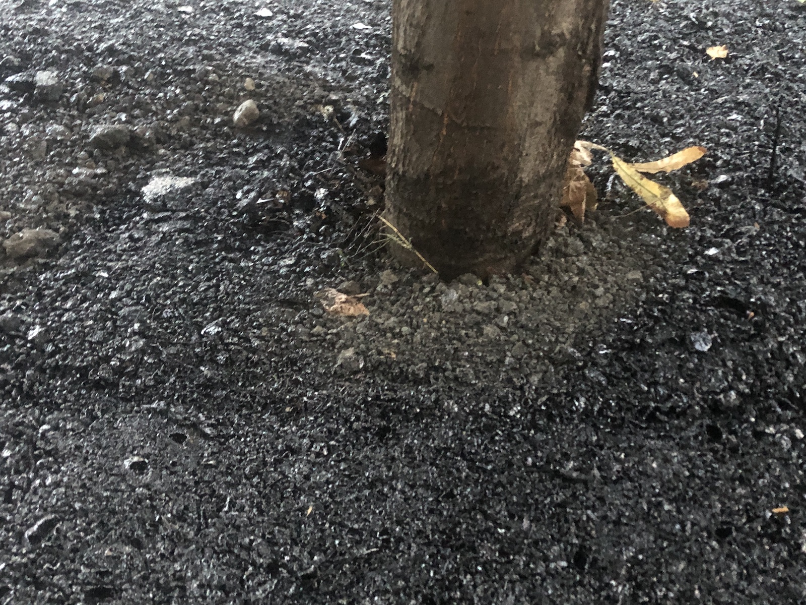 copac bitum material frezat str ciprian porumbescu dorel 14