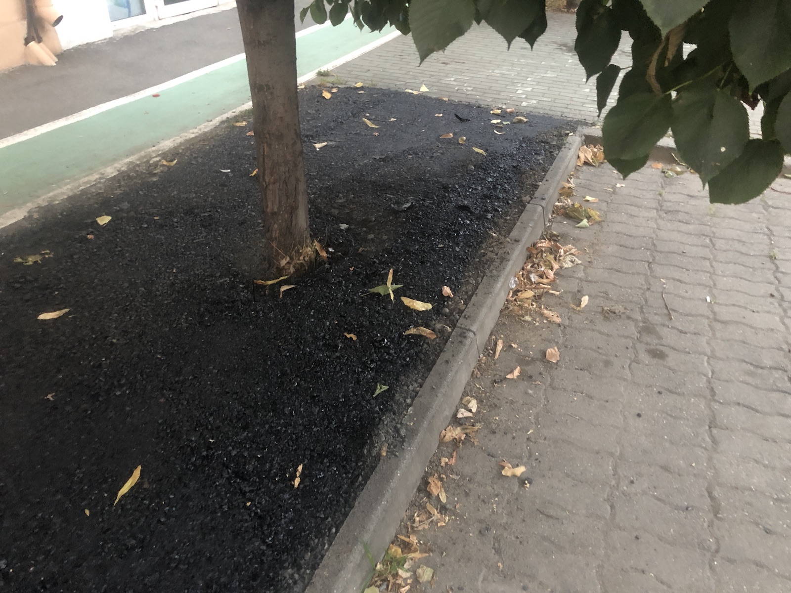 copac bitum material frezat str ciprian porumbescu dorel 16