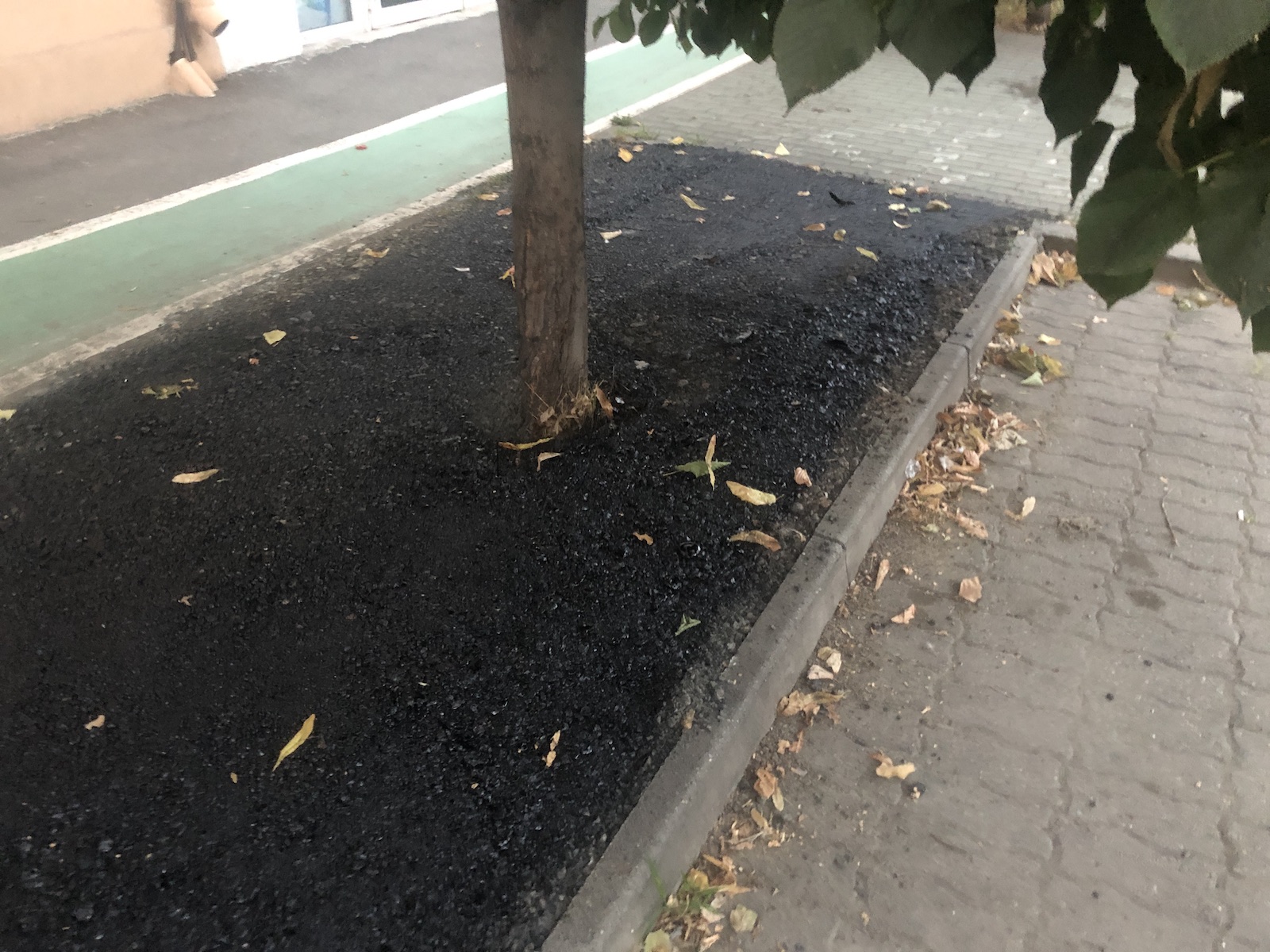 copac bitum material frezat str ciprian porumbescu dorel 17