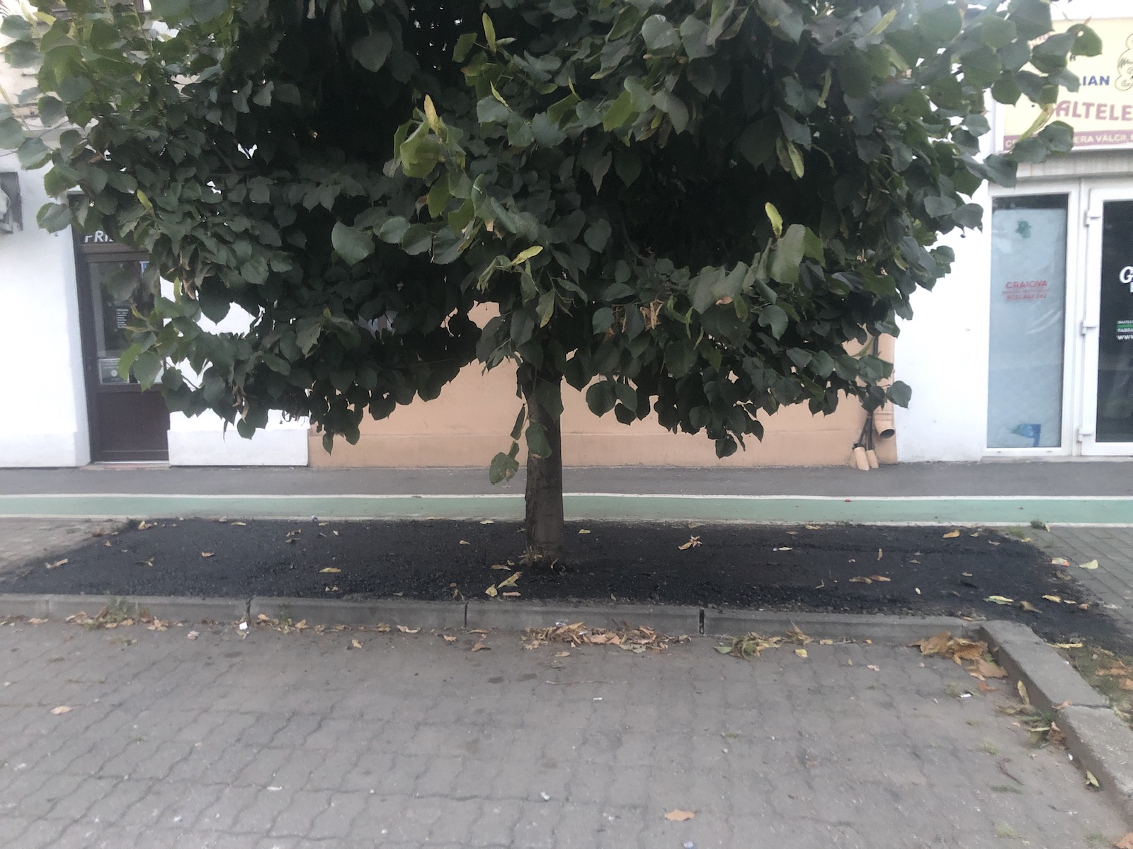 copac bitum material frezat str ciprian porumbescu dorel 18