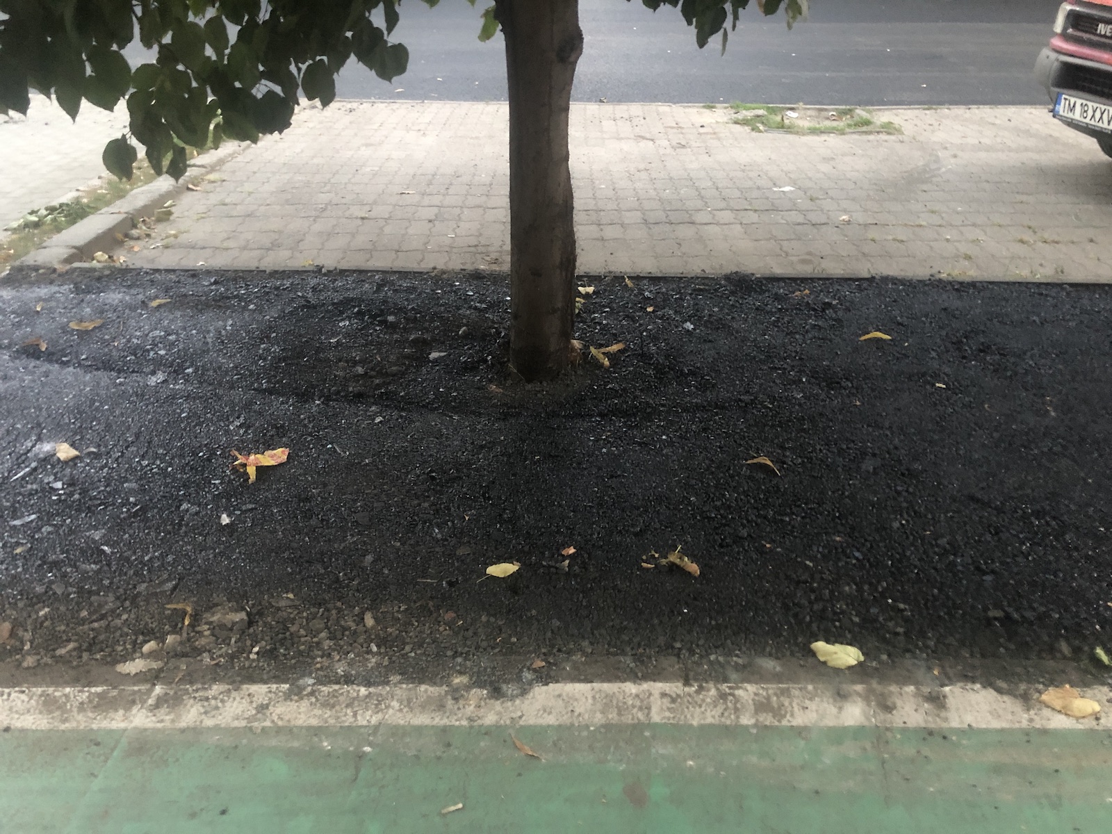 copac bitum material frezat str ciprian porumbescu dorel 19