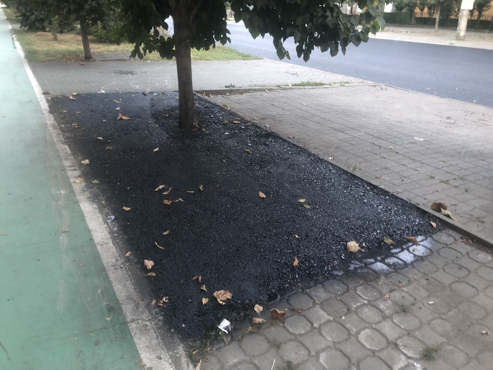 copac bitum material frezat str ciprian porumbescu dorel 20