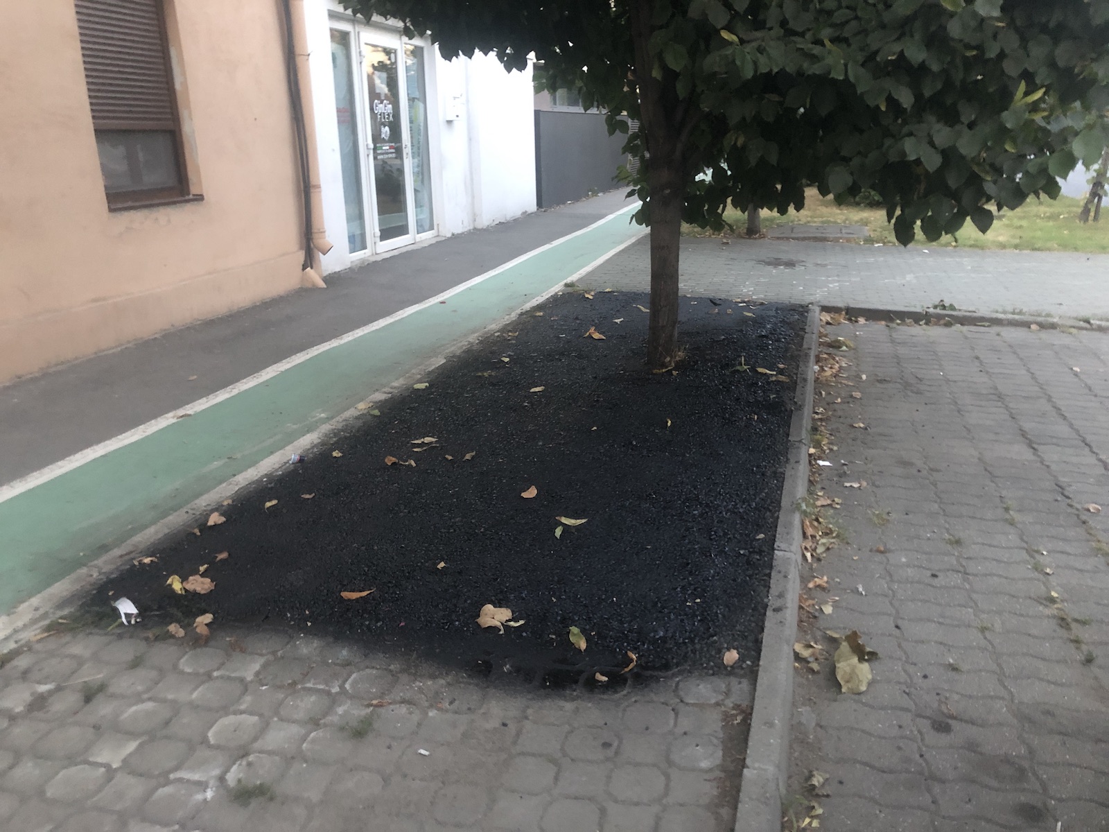 copac bitum material frezat str ciprian porumbescu dorel 21