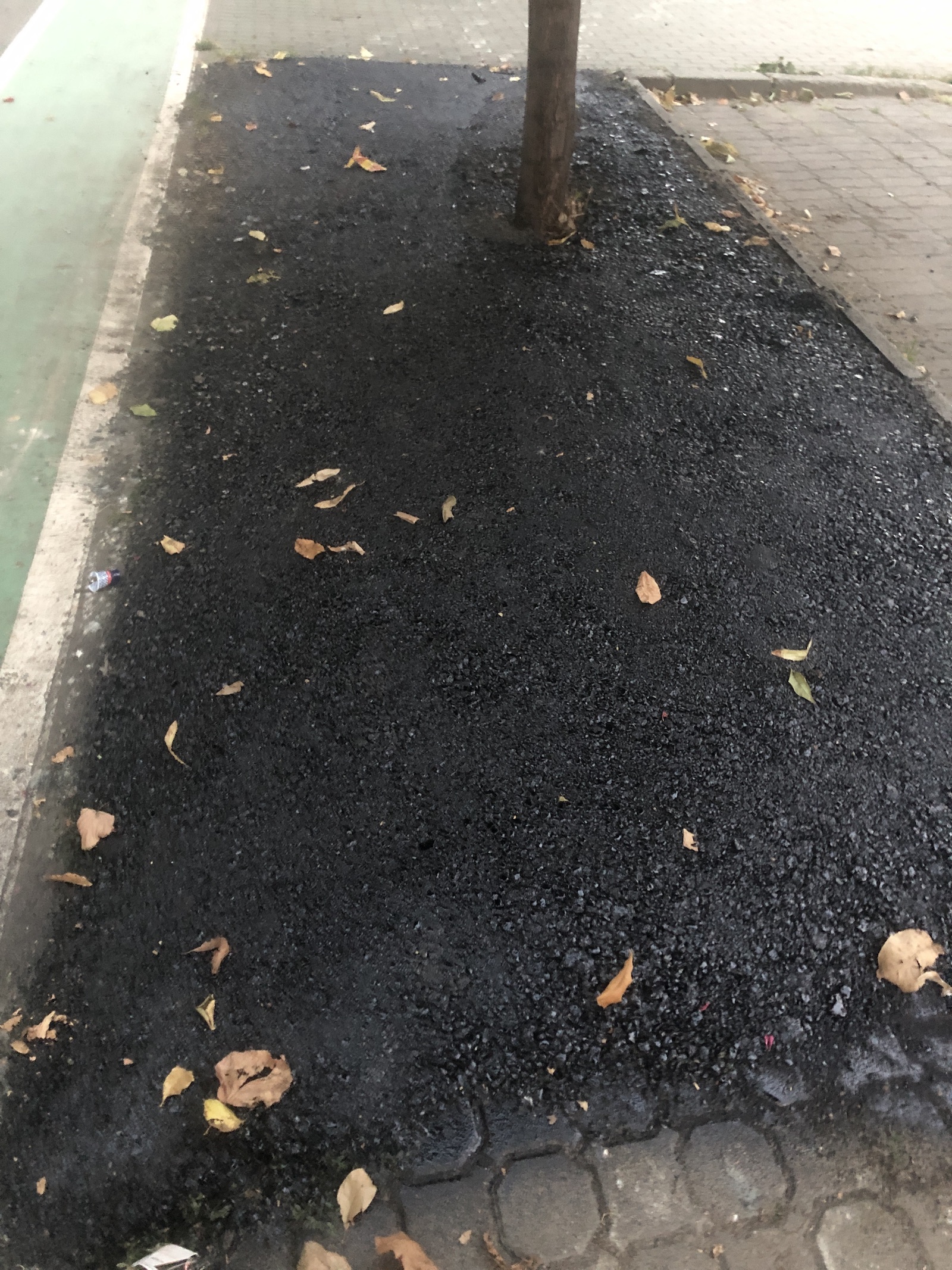 copac bitum material frezat str ciprian porumbescu dorel 22