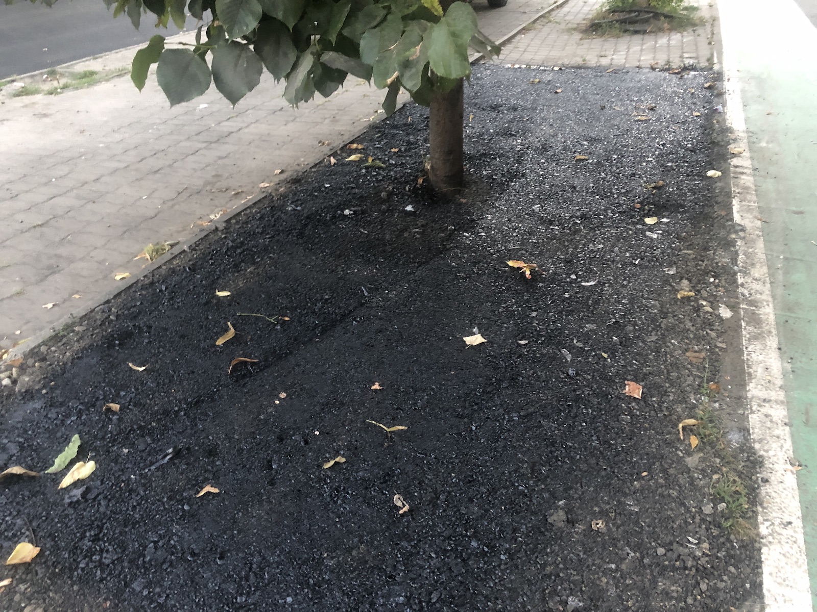 copac bitum material frezat str ciprian porumbescu dorel 5