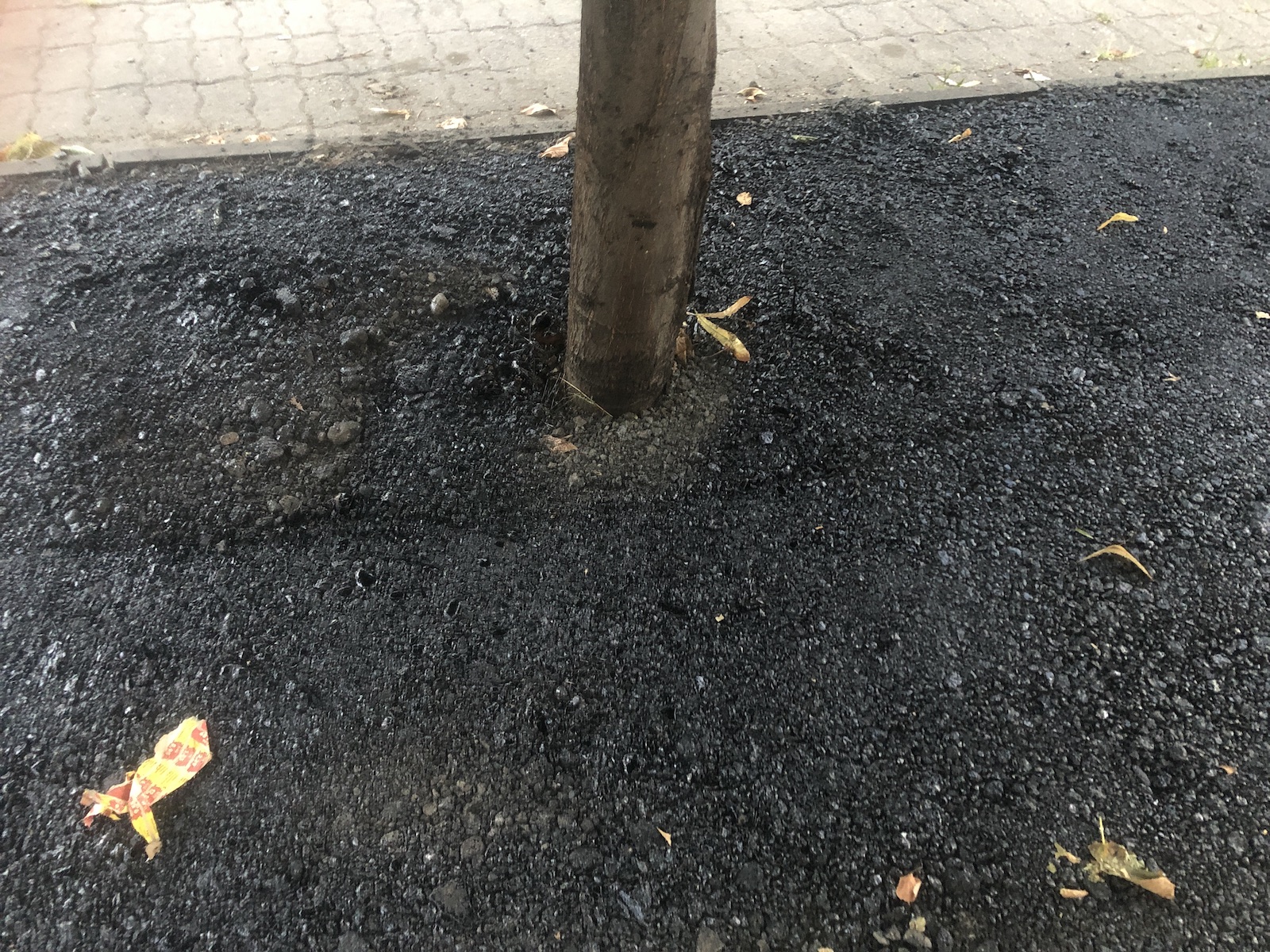 copac bitum material frezat str ciprian porumbescu dorel 6